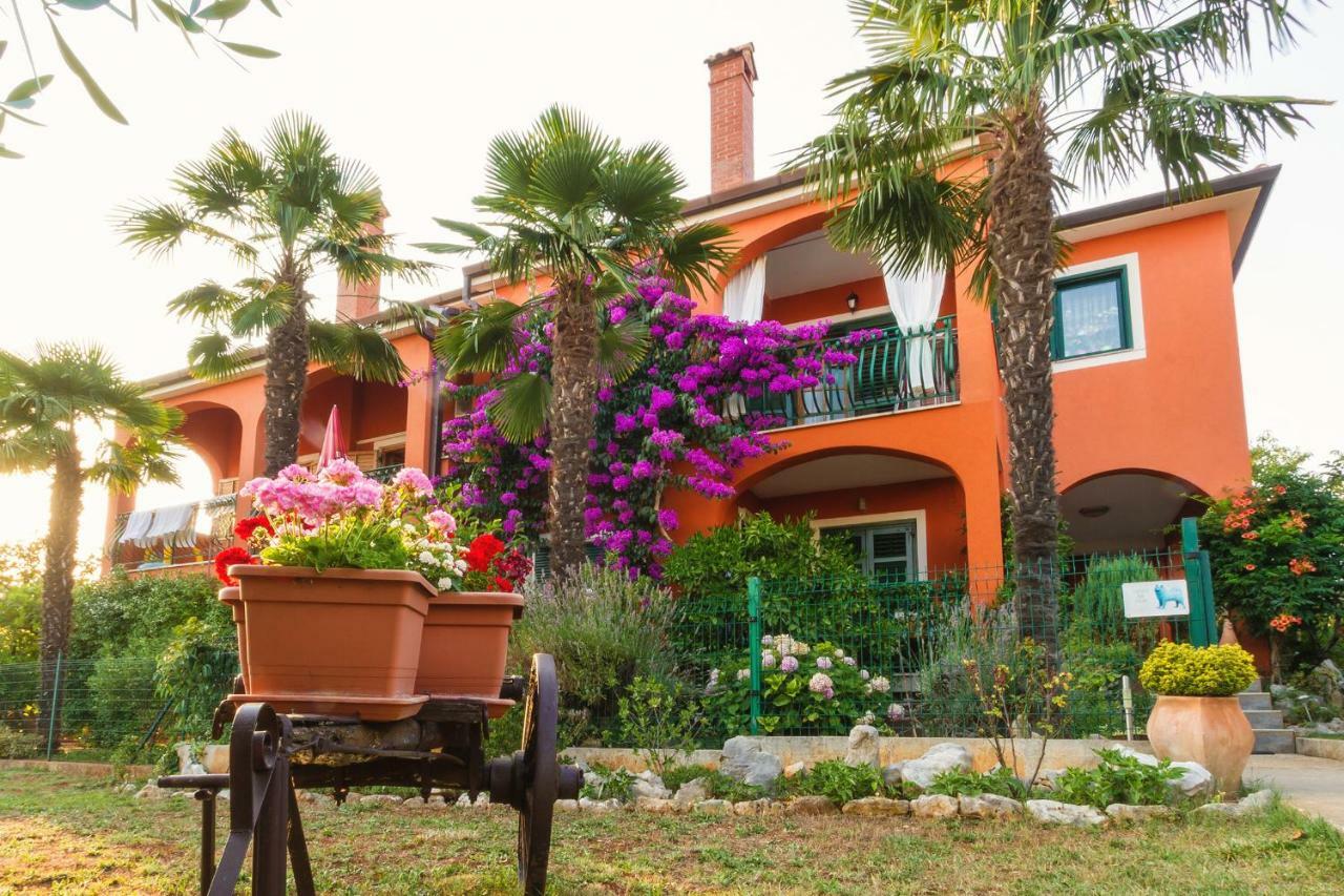Apartments Mirjana Novigrad  Bagian luar foto